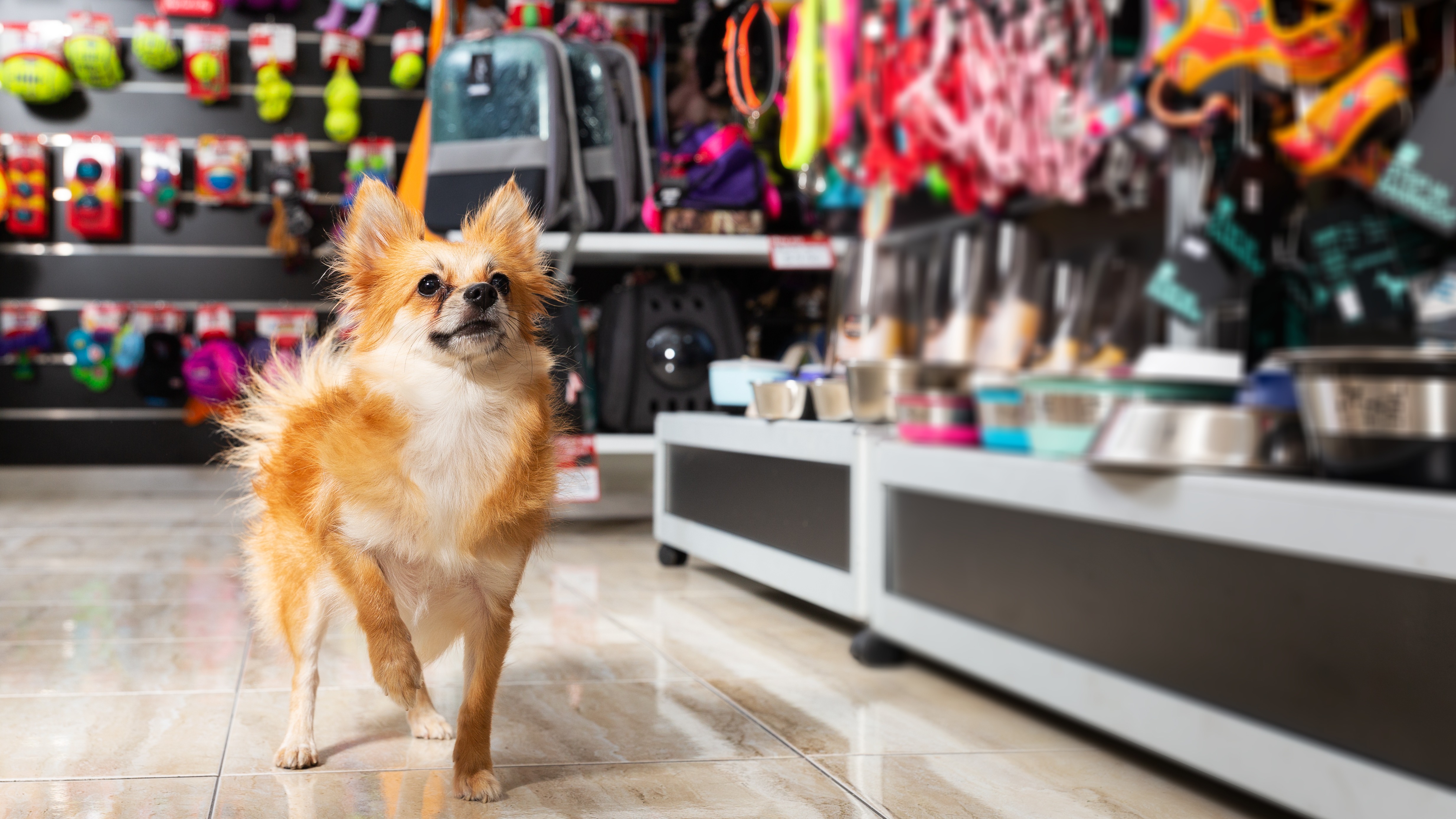 How a retail customer improved outbound transportation efficiency through smarter routing and network planning
